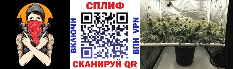 Марихуана семена  наркошоп  darknet формула  Видное 